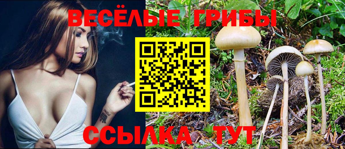Кольчугино  Галлюциногенные грибы мухоморы  Вход с VPN 